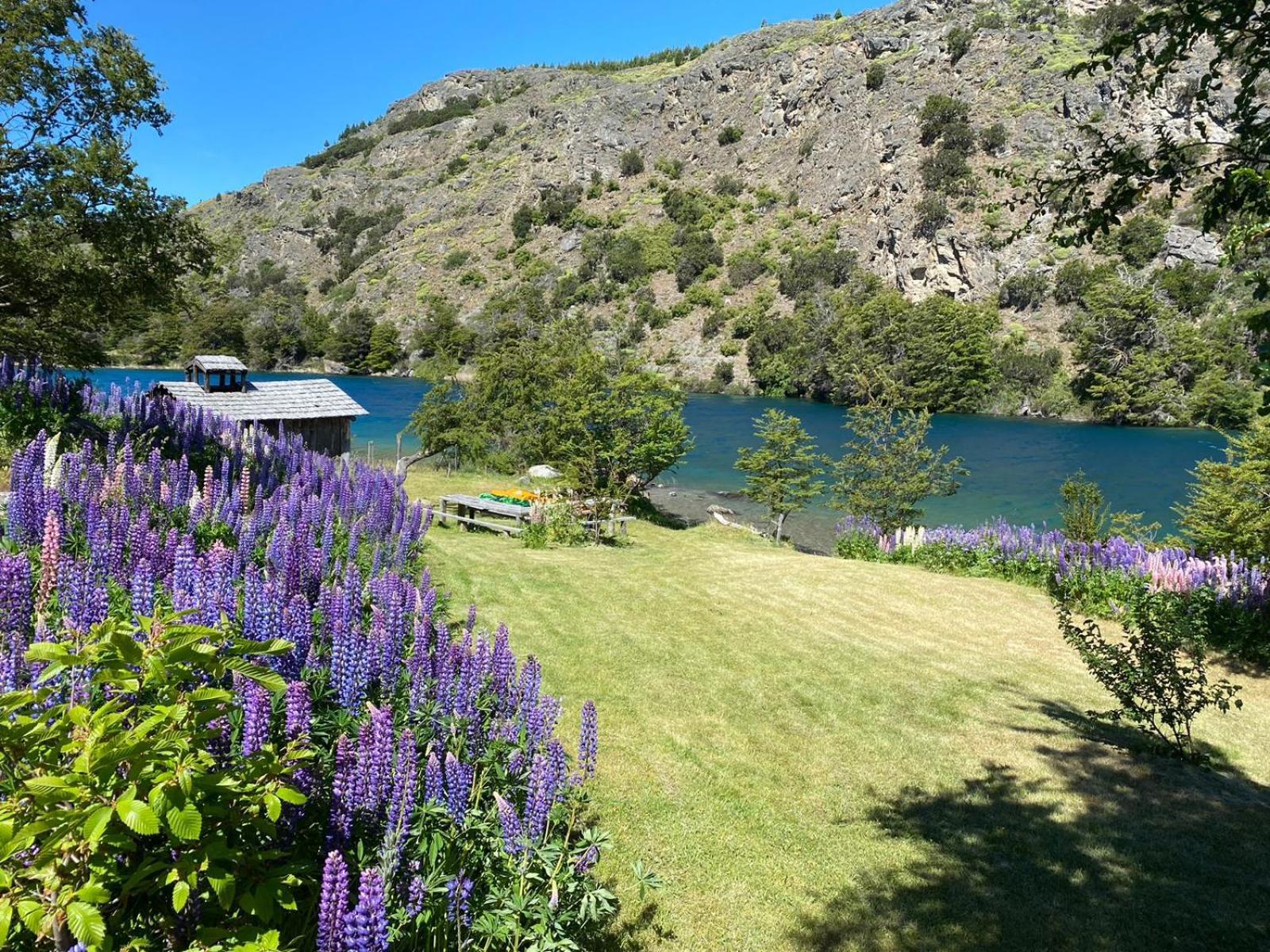 Villa Cabanas Brellenthin à Cochrane Extérieur photo