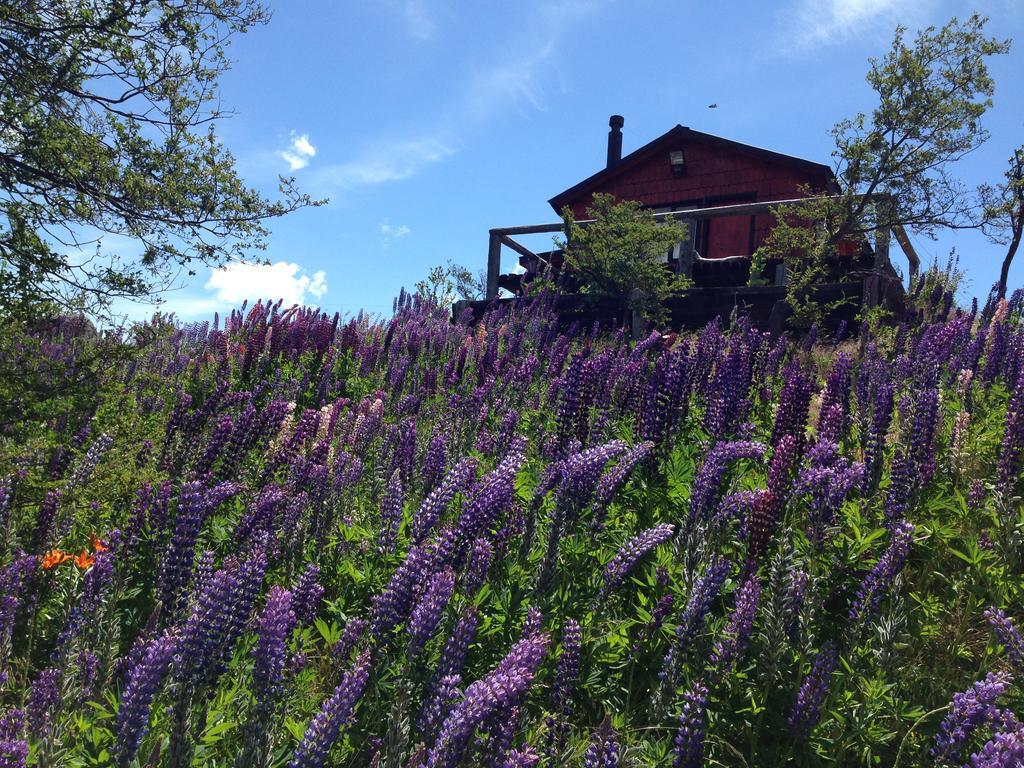 Villa Cabanas Brellenthin à Cochrane Extérieur photo